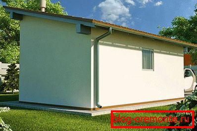 Pojedinačna koža