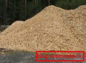 Drvenasta četinara - jedna od glavnih komponenti Drvenasta četinara - jedna od glavnih komponenti