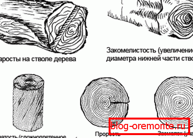 Defekti i nedostaci drveta Defekti i nedostaci drveta