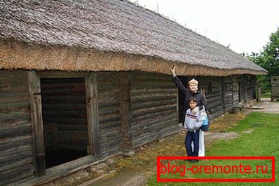 Osobine trske krova