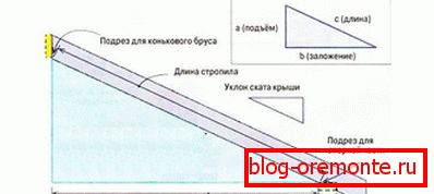 Pitagorevska teorema